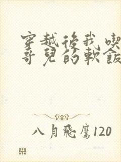 穿越后我吃到了哥儿的软饭炉山灰