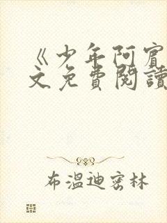 《少年阿宾》全文免费阅读