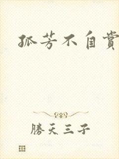 孤芳不自赏小说