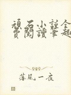 顽石小说全文免费阅读笔趣阁