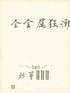 全金属狂潮小说