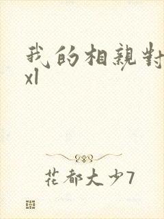 我的相亲对象是xl封面