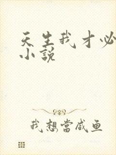 天生我才必有用小说