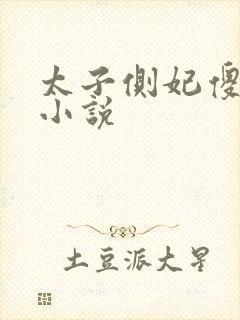 太子侧妃傻乎乎小说