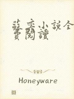 苏奕小说全文免费阅读封面