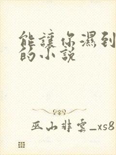 能让你湿到不行的小说