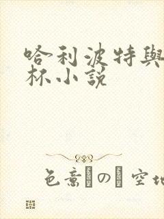 哈利波特与火焰杯小说