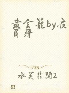 黄金笼by夜很贫瘠