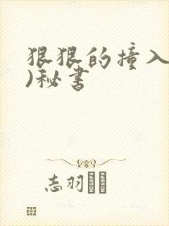 狠狠的撞入(h)秘书