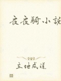 夜夜骑小说