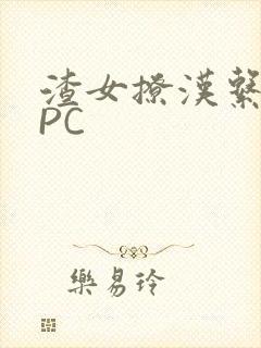 渣女撩汉系统NPC