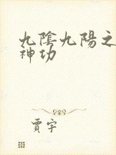 九阴九阳之阴阳神功