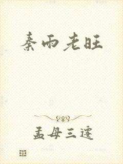 秦雨老旺封面