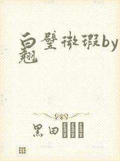 白璧微瑕by连翘