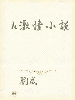 h激情小说封面