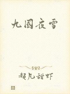 九国夜雪