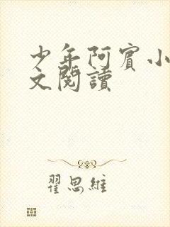 少年阿宾小说全文阅读