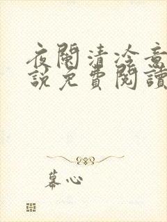夜阑清冷意欢小说免费阅读