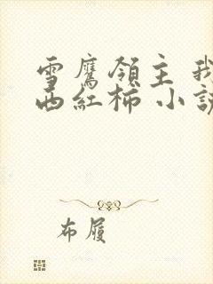 雪鹰领主 我吃西红柿 小说