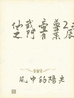 仙武帝尊2永恒之门有叶辰吗