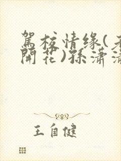 驾校情缘(老树开花)孙潇潇笔趣阁封面