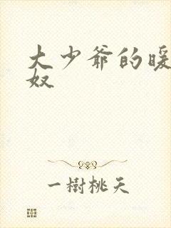 大少爷的暖床小奴封面