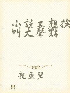 小说又想挨C了叫大声点