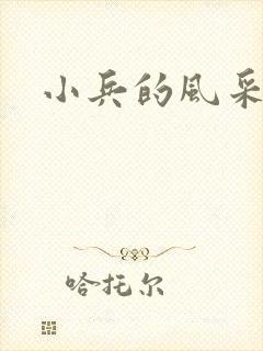 小兵的风采封面