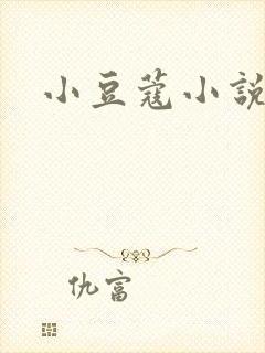 小豆蔻小说封面