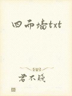 四面墙txt