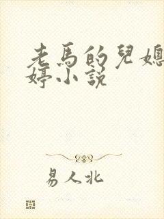 老马的儿媳顾婉婷小说