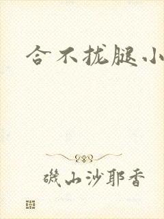 合不拢腿小说