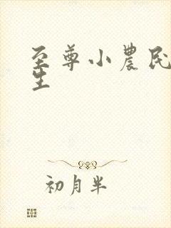 至尊小农民王木生