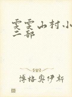 雯雯山村小说第二部