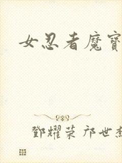 女忍者魔宝传