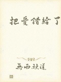 把爱错给了你封面