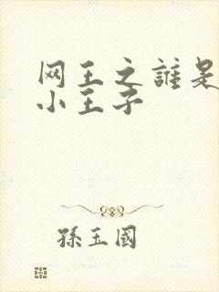 网王之谁是我的小王子