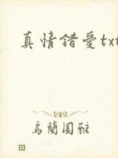 真情错爱txt
