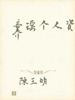 童瑶个人资料简介封面