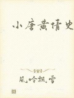小唐黄倩史