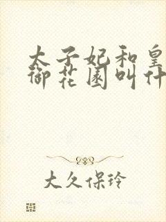 太子妃和皇帝在御花园叫什么小说