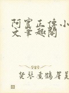 阿宾正传小说全文笔趣阁