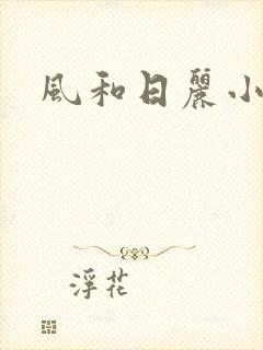 风和日丽小说封面