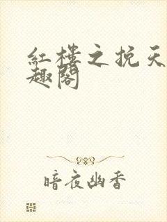 红楼之挽天倾笔趣阁