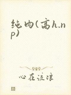 纯肉(高h.np)封面