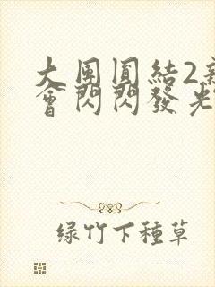 大团圆结2亲情会闪闪发光亲情会在线观看