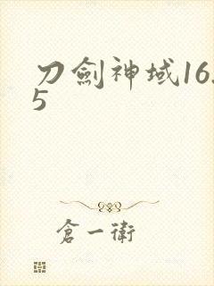 刀剑神域16.5