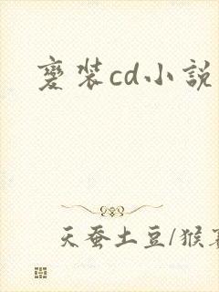 变装cd小说