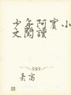 少年阿宾小说全文阅读封面