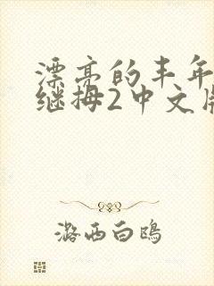 漂亮的丰年经的继拇2中文版